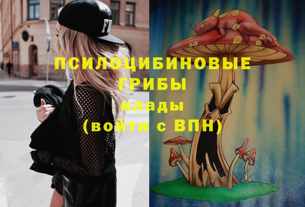 бошки Арсеньев