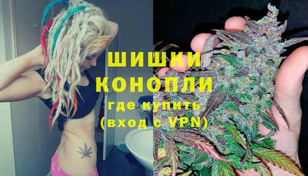 бошки Арсеньев